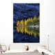 Autumn, Alpine Larch Trees, Lake Agnes, Banff National Park Wall Mural