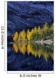 Autumn, Alpine Larch Trees, Lake Agnes, Banff National Park Wall Mural