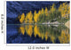 Autumn, Alpine Larch Trees, Lake Agnes, Banff National Park Wall Mural