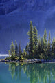 Sargent's Point, Lake O'hara, Yoho National Park, British Columbia Wall Mural