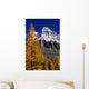 Alpine Larch Trees, Mount Huber, Yoho National Park, British Columbia Wall Mural