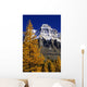 Alpine Larch Trees, Mount Huber, Yoho National Park, British Columbia Wall Mural