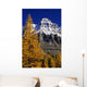 Alpine Larch Trees, Mount Huber, Yoho National Park, British Columbia Wall Mural
