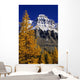Alpine Larch Trees, Mount Huber, Yoho National Park, British Columbia Wall Mural