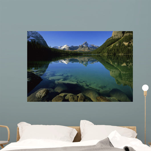 Lake O'hara, Yoho National Park, British Columbia Wall Mural