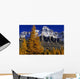 Alpine Larches And Mount Huber, Yoho National Park, British Columbia Wall Mural