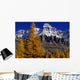 Alpine Larches And Mount Huber, Yoho National Park, British Columbia Wall Mural