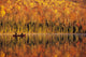 Canoeists At Sunrise, Lac Bouchard, La Mauricie National Park Quebec Wall Mural
