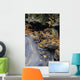 Brodeur Brook And Fall Foliage, La Mauricie National Park Quebec Wall Mural