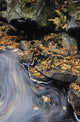 Brodeur Brook And Fall Foliage, La Mauricie National Park Quebec Wall Mural