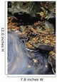Brodeur Brook And Fall Foliage, La Mauricie National Park Quebec Wall Mural