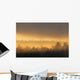 Sunrise In Fog, La Mauricie National Park Quebec Wall Mural