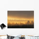 Sunrise In Fog, La Mauricie National Park Quebec Wall Mural