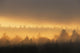 Sunrise In Fog, La Mauricie National Park Quebec Wall Mural