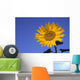 Sunflower, Queens County, Prince Edward Island Wall Mural