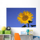 Sunflower, Queens County, Prince Edward Island Wall Mural