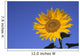 Sunflower, Queens County, Prince Edward Island Wall Mural