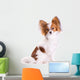 Dog Breed Papillon