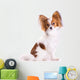 Dog Breed Papillon