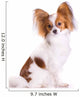 Dog Breed Papillon