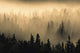 Mist Wall Mural