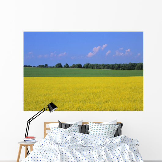 Canola Field, Bruce Township, Georgian Bay Ontario Wall Mural
