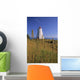 Swallowtail Lighthouse And Cat Tails, Grand Manan Island New Brunswick Wall Mural