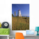 Swallowtail Lighthouse And Cat Tails, Grand Manan Island New Brunswick Wall Mural