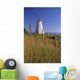 Swallowtail Lighthouse And Cat Tails, Grand Manan Island New Brunswick Wall Mural