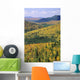 Mount Bailey Overlook, Mount Carleton Provincial Park,New Brunswick Wall Mural