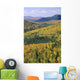 Mount Bailey Overlook, Mount Carleton Provincial Park,New Brunswick Wall Mural