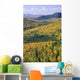 Mount Bailey Overlook, Mount Carleton Provincial Park,New Brunswick Wall Mural
