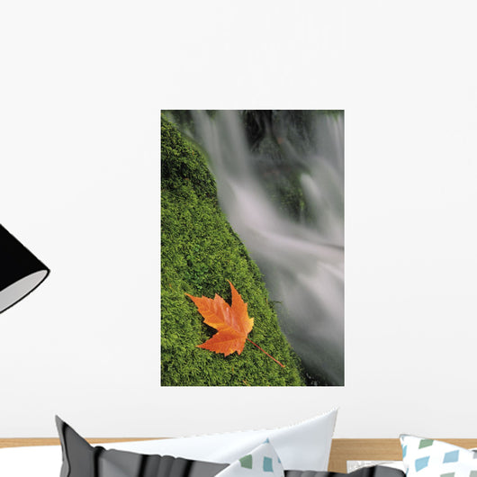 Mount Head Creek And Maple Leaf Wall Mural