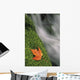Mount Head Creek And Maple Leaf Wall Mural