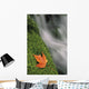 Mount Head Creek And Maple Leaf Wall Mural
