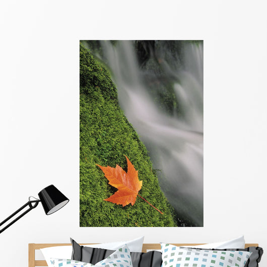 Mount Head Creek And Maple Leaf Wall Mural