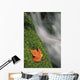 Mount Head Creek And Maple Leaf Wall Mural