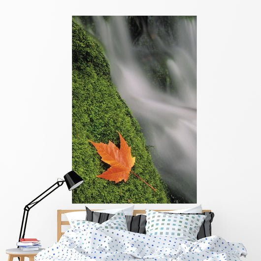 Mount Head Creek And Maple Leaf Wall Mural