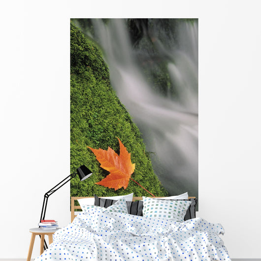 Mount Head Creek And Maple Leaf Wall Mural