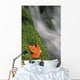 Mount Head Creek And Maple Leaf Wall Mural
