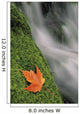 Mount Head Creek And Maple Leaf Wall Mural