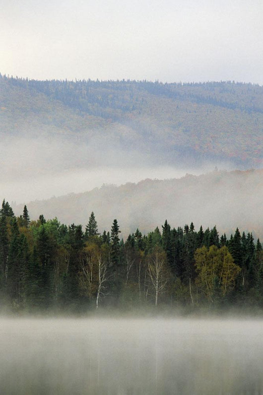 Bathurst Lake, Mount Carleton Provincial Park, New Brunswick Wall Mural