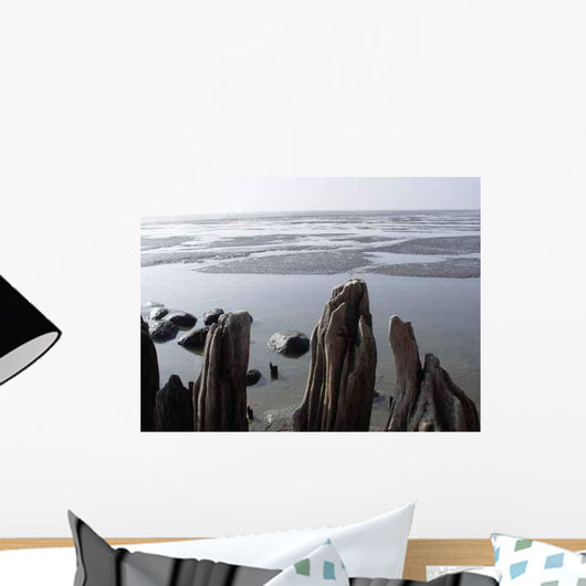Ebbe Wall Decal