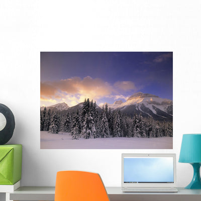 Bow Valley and Massive Wall Mural shown on a wall