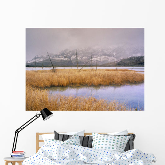 Talbot Lake And The Miette Range, Jasper National Park, Alberta Canada Wall Mural