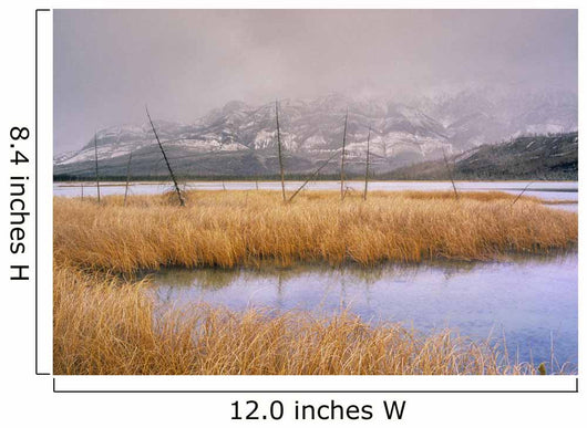 Talbot Lake And The Miette Range, Jasper National Park, Alberta Canada Wall Mural