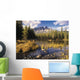 Bow River And Castle Mountain, Banff National Park, Alberta Canada Wall Mural