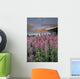 Mount Crowfoot At Bow Summit With Fireweed In Foreground Wall Mural