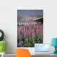 Mount Crowfoot At Bow Summit With Fireweed In Foreground Wall Mural