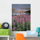 Mount Crowfoot At Bow Summit With Fireweed In Foreground Wall Mural